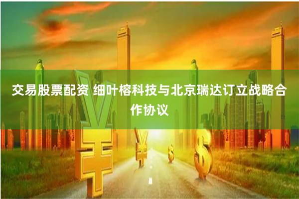 交易股票配资 细叶榕科技与北京瑞达订立战略合作协议